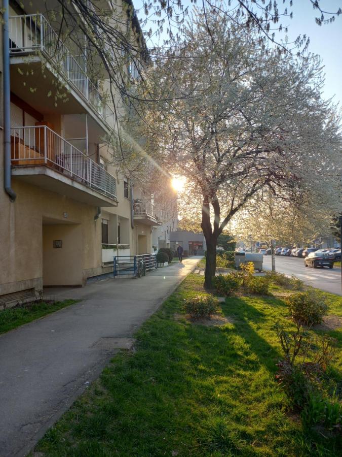 Jarun Comfort Apartment *